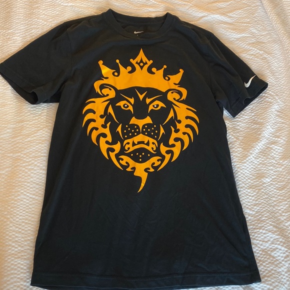 Nike Other - Nike Dri-Fit king lion Lebron James t shirt